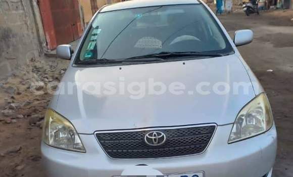 Buy Used Toyota Corolla Silver Car in Lome in Togo Buy Used Toyota Corolla Silver Car in Lome in Togo