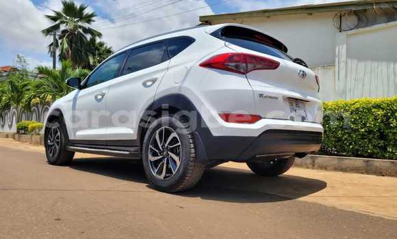 Acheter Occasion Voiture Toyota RAV4 Blanc à Lomé, Togo Acheter Occasion Voiture Toyota RAV4 Blanc à Lomé, Togo