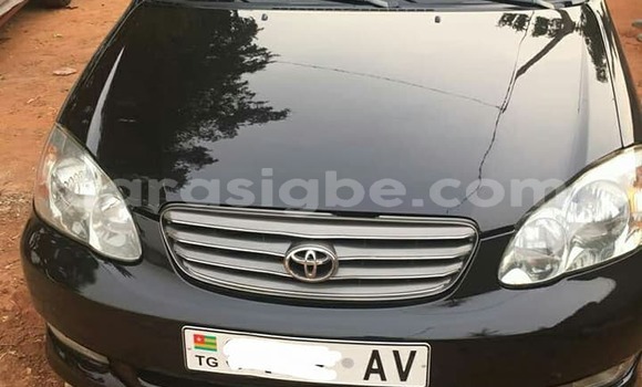 Buy Used Toyota Corolla Black Car in Lome in Togo Buy Used Toyota Corolla Black Car in Lome in Togo
