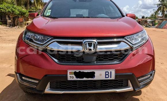 Buy New Honda CR–V Other Car in Lome in Togo Buy New Honda CR–V Other Car in Lome in Togo