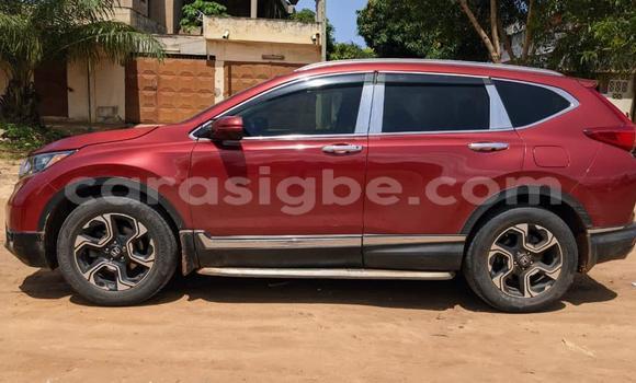 Buy New Honda CR–V Other Car in Lome in Togo Buy New Honda CR–V Other Car in Lome in Togo