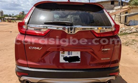 Buy New Honda CR–V Other Car in Lome in Togo Buy New Honda CR–V Other Car in Lome in Togo