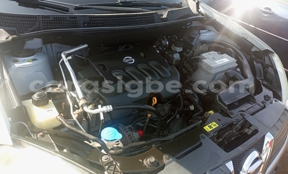 Acheter Import Voiture Nissan Qashqai Gris à Lomé, Maritime