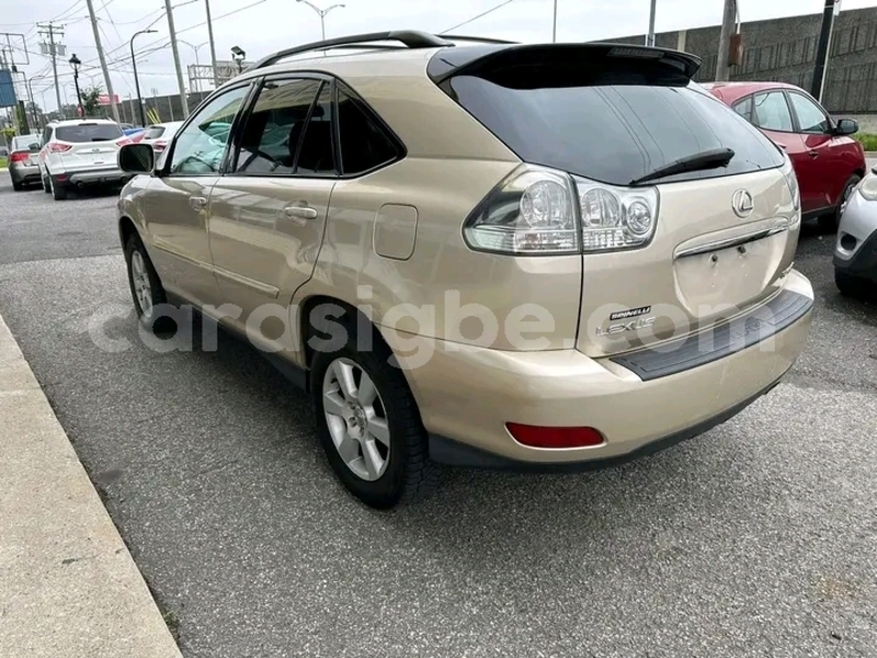 Big with watermark lexus rx 330 togo lome 8077