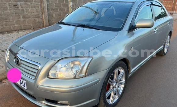 Acheter Occasion Voiture Toyota Avensis Gris à Lomé, Togo
