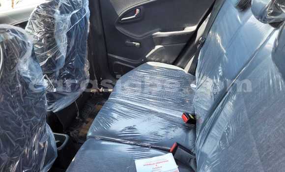 Buy Used Kia Picanto Red Car in Lome in Maritime