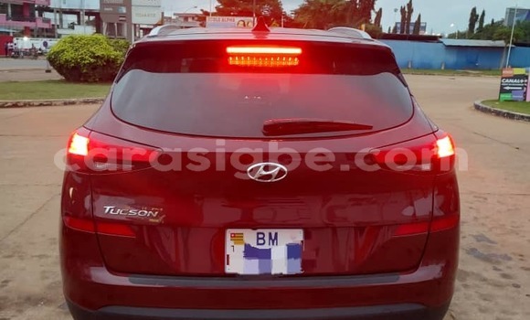 Buy Used Hyundai Tucson Red Car in Lome in Togo Buy Used Hyundai Tucson Red Car in Lome in Togo