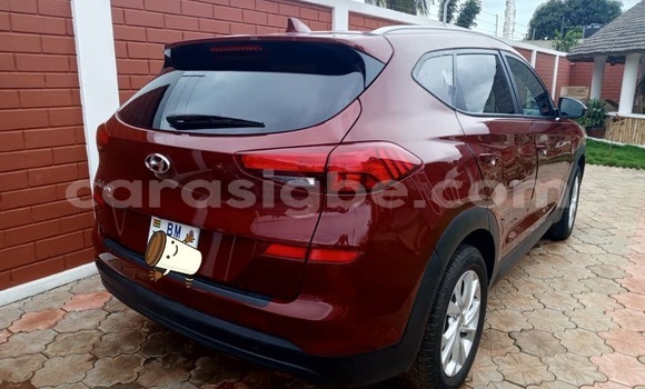 Buy Used Hyundai Tucson Red Car in Lome in Togo Buy Used Hyundai Tucson Red Car in Lome in Togo