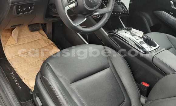 Buy New Hyundai Tucson Brown Car in Lome in Togo Buy New Hyundai Tucson Brown Car in Lome in Togo