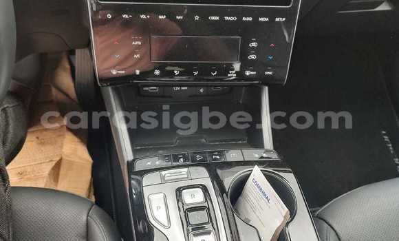 Buy New Hyundai Tucson Brown Car in Lome in Togo Buy New Hyundai Tucson Brown Car in Lome in Togo