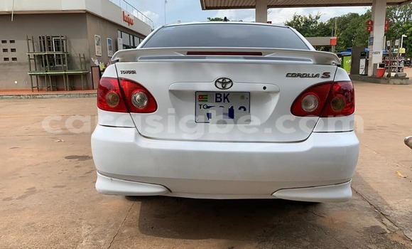 Buy Used Toyota Corolla White Car in Lome in Togo Buy Used Toyota Corolla White Car in Lome in Togo