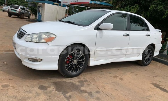 Buy Used Toyota Corolla White Car in Lome in Togo Buy Used Toyota Corolla White Car in Lome in Togo