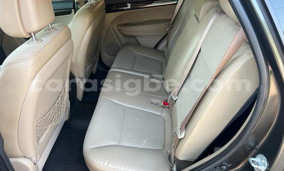 Buy Used Kia Sorento Brown Car in Lome in Togo Buy Used Kia Sorento Brown Car in Lome in Togo