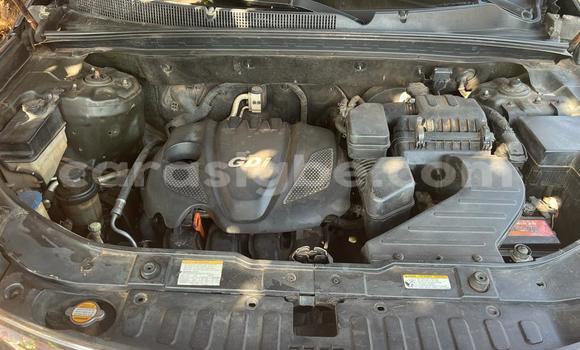 Buy Used Kia Sorento Brown Car in Lome in Togo Buy Used Kia Sorento Brown Car in Lome in Togo