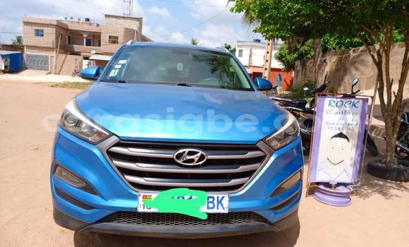 Buy Used Hyundai Tucson Blue Car in Lome in Togo Buy Used Hyundai Tucson Blue Car in Lome in Togo
