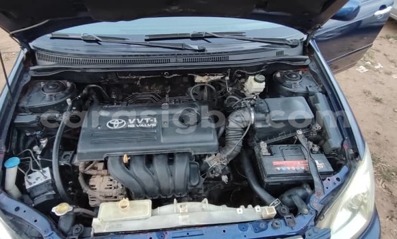 Buy Used Toyota Corolla Blue Car in Lome in Togo Buy Used Toyota Corolla Blue Car in Lome in Togo