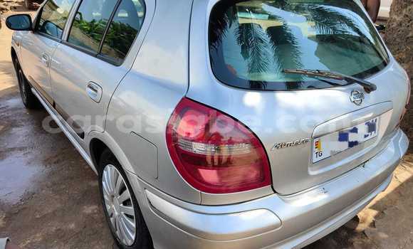 Buy Used Nissan Almera Silver Car in Lome in Togo Buy Used Nissan Almera Silver Car in Lome in Togo