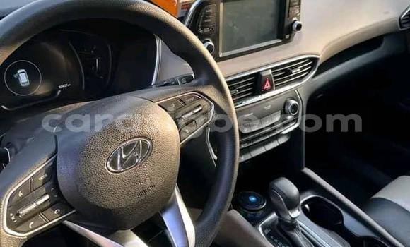 Buy Used Hyundai Tucson Other Car in Lome in Togo Buy Used Hyundai Tucson Other Car in Lome in Togo