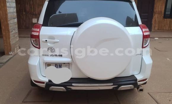Buy Used Toyota RAV4 White Car in Lome in Maritime Buy Used Toyota RAV4 White Car in Lome in Maritime