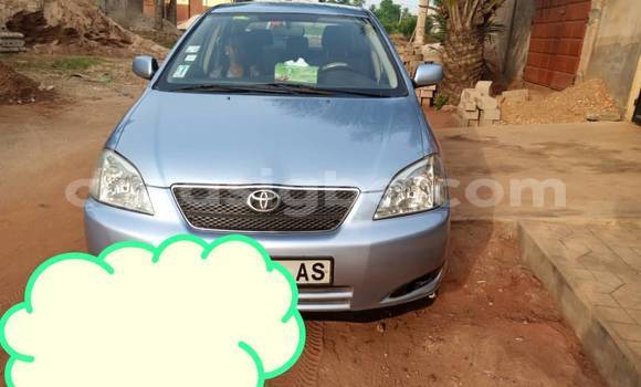 Buy Used Toyota Dyna Other Car in Amoutivé in Togo Buy Used Toyota Dyna Other Car in Amoutivé in Togo