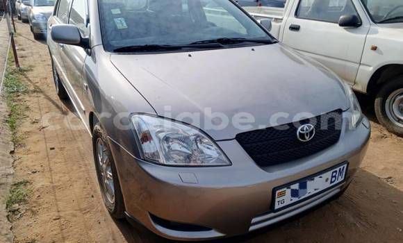Buy Used Toyota Corolla Other Car in Lome in Togo Buy Used Toyota Corolla Other Car in Lome in Togo
