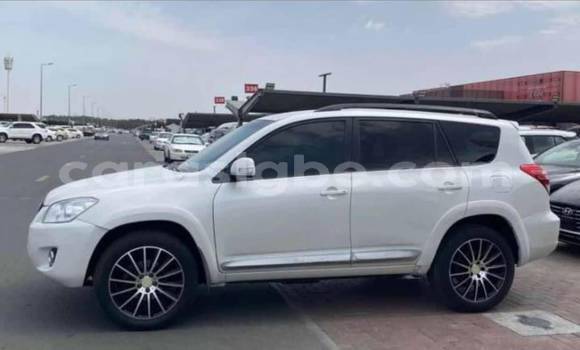 Buy Used Toyota RAV4 White Car in Lome in Togo Buy Used Toyota RAV4 White Car in Lome in Togo