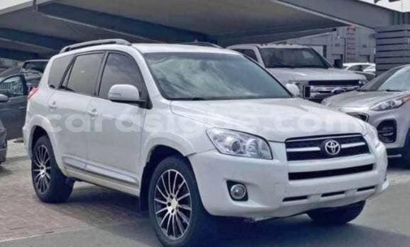 Buy Used Toyota RAV4 White Car in Lome in Togo Buy Used Toyota RAV4 White Car in Lome in Togo