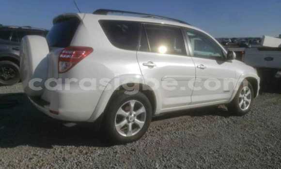 Buy Used Toyota RAV4 Other Car in Lome in Togo Buy Used Toyota RAV4 Other Car in Lome in Togo
