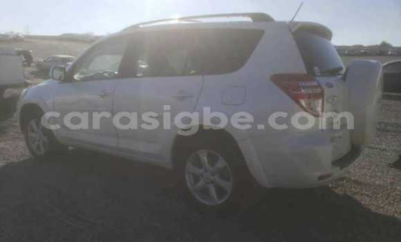 Buy Used Toyota RAV4 Other Car in Lome in Togo Buy Used Toyota RAV4 Other Car in Lome in Togo