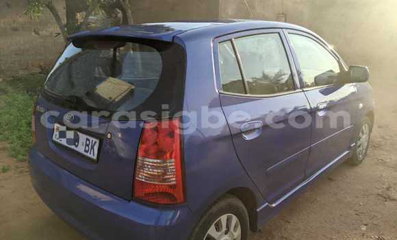 Buy Used Kia Picanto Blue Car in Amoutivé in Togo Buy Used Kia Picanto Blue Car in Amoutivé in Togo