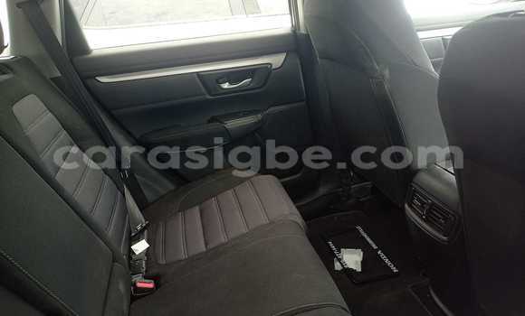 Buy Used Honda CRâV Other Car in AmoutivĂ© in Togo Buy Used Honda CRâV Other Car in AmoutivĂ© in Togo
