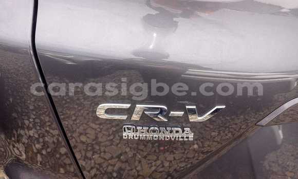 Buy Used Honda CRâV Other Car in AmoutivĂ© in Togo Buy Used Honda CRâV Other Car in AmoutivĂ© in Togo