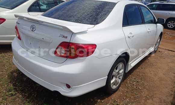 Buy Used Toyota Corolla White Car in Amoutivé in Togo Buy Used Toyota Corolla White Car in Amoutivé in Togo