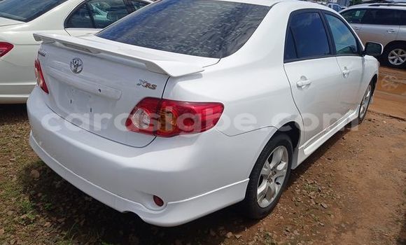 Buy Used Toyota Corolla White Car in Amoutivé in Togo Buy Used Toyota Corolla White Car in Amoutivé in Togo