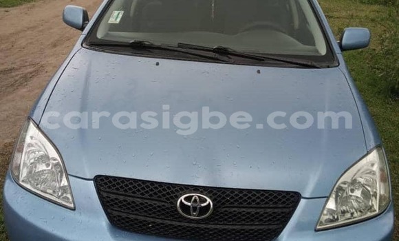 Buy Used Toyota Corolla Blue Car in Amoutivé in Togo Buy Used Toyota Corolla Blue Car in Amoutivé in Togo