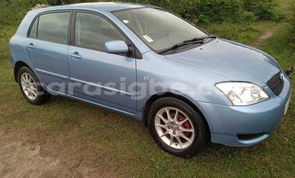 Buy Used Toyota Corolla Blue Car in Amoutivé in Togo Buy Used Toyota Corolla Blue Car in Amoutivé in Togo