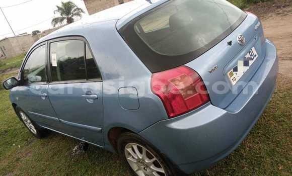 Buy Used Toyota Corolla Blue Car in Amoutivé in Togo Buy Used Toyota Corolla Blue Car in Amoutivé in Togo
