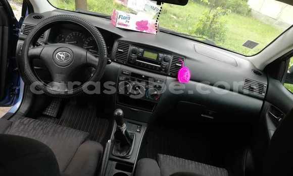 Buy Used Toyota Corolla Blue Car in Amoutivé in Togo Buy Used Toyota Corolla Blue Car in Amoutivé in Togo