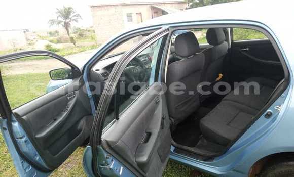 Buy Used Toyota Corolla Blue Car in Amoutivé in Togo Buy Used Toyota Corolla Blue Car in Amoutivé in Togo