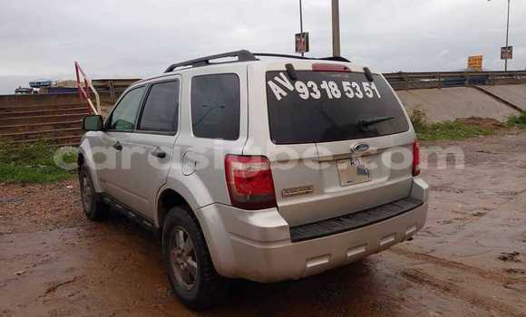 Buy Used Ford Escape Other Car in Lome in Togo Buy Used Ford Escape Other Car in Lome in Togo