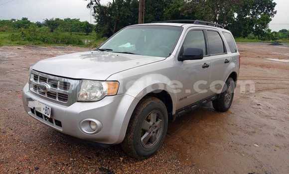 Buy Used Ford Escape Other Car in Lome in Togo Buy Used Ford Escape Other Car in Lome in Togo