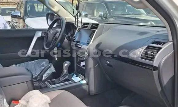 Acheter Occasion Voiture Toyota Land Cruiser Prado Blanc à Lomé, Togo Acheter Occasion Voiture Toyota Land Cruiser Prado Blanc à Lomé, Togo