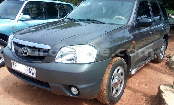 Acheter Occasion Voiture Mazda Tribute Gris à Lomé au Togo Acheter Occasion Voiture Mazda Tribute Gris à Lomé au Togo