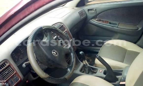 Buy Used Toyota Avensis Red Car in Amlamé in Togo Buy Used Toyota Avensis Red Car in Amlamé in Togo