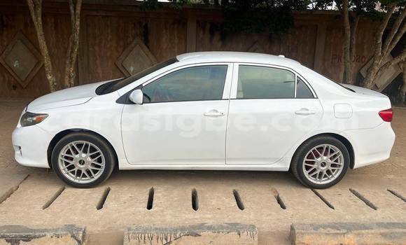 Buy Used Toyota Corolla White Car in Amoutivé in Togo Buy Used Toyota Corolla White Car in Amoutivé in Togo