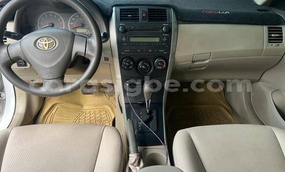 Buy Used Toyota Corolla White Car in Amoutivé in Togo Buy Used Toyota Corolla White Car in Amoutivé in Togo