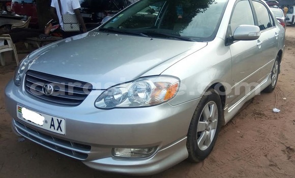 Acheter Occasion Voiture Toyota Corolla Gris à Lomé au Togo Acheter Occasion Voiture Toyota Corolla Gris à Lomé au Togo