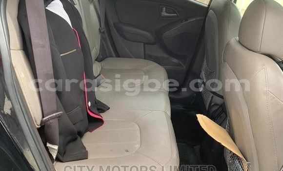 Buy Used Hyundai Chorus Black Truck in Vogan in Togo Buy Used Hyundai Chorus Black Truck in Vogan in Togo