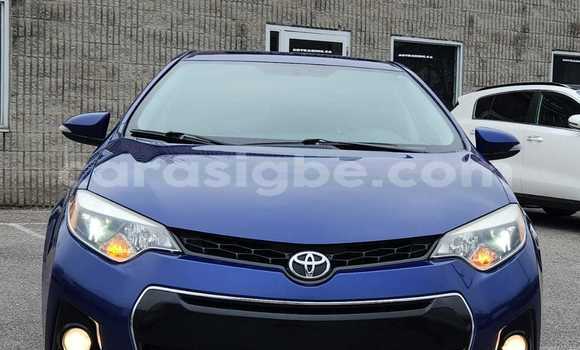Acheter Neuf Voiture Toyota Corolla Spacio Bleu à Lomé, Togo Acheter Neuf Voiture Toyota Corolla Spacio Bleu à Lomé, Togo