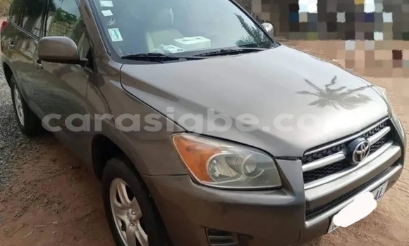 Buy Used Toyota RAV4 Brown Car in Lome in Togo Buy Used Toyota RAV4 Brown Car in Lome in Togo